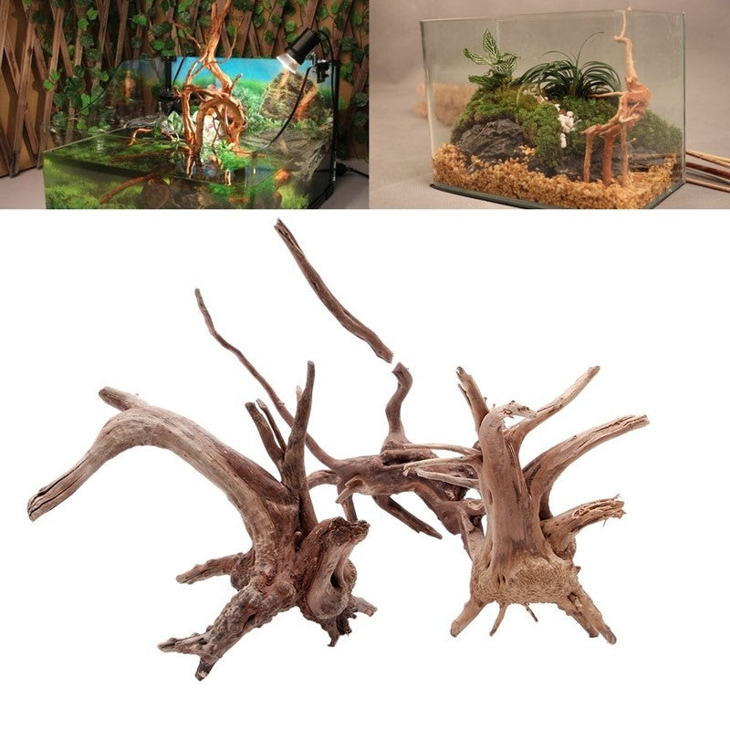 Transform Your Aquarium with Our Stunning Sunken Tree Root Decoration