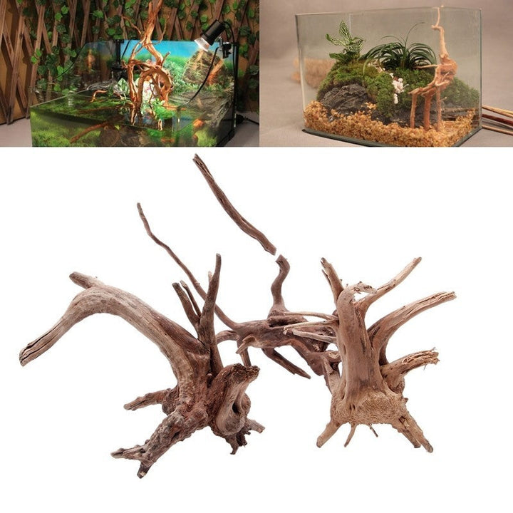 Transform Your Aquarium with Our Stunning Sunken Tree Root Decoration