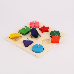 Why Your Parrot Deserves the Best: Introducing the Parrot Training Toy 9 Color Wooden Blocks