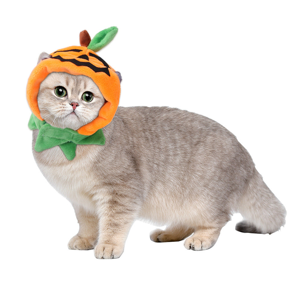 Curly Hair Pet Hat Cat Funny Dress Up