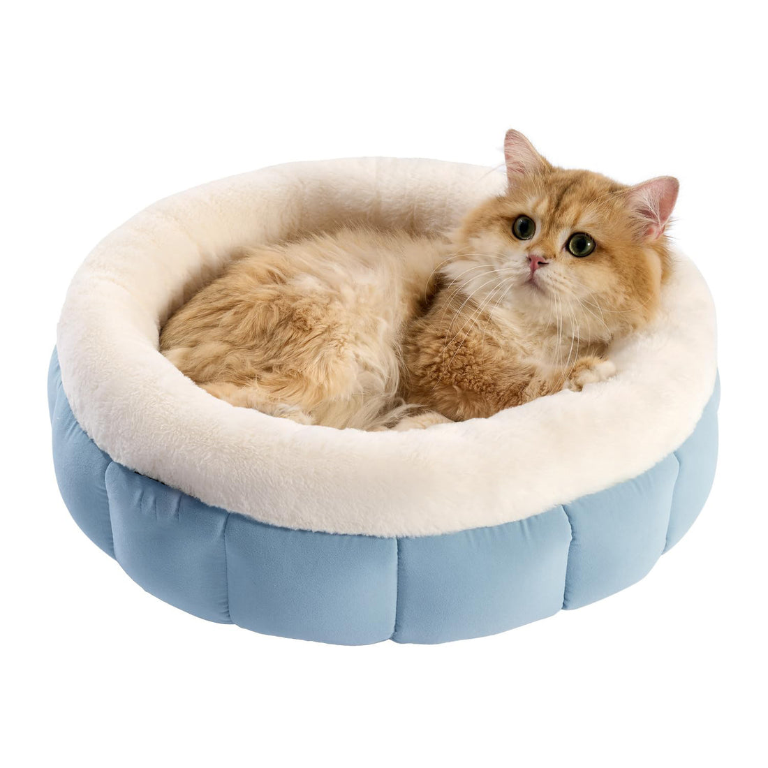 Washable Pet Bed For Puppy And Kittens