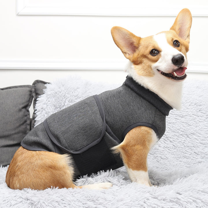 Pet Polyester Comfort Cotton Double Jacket