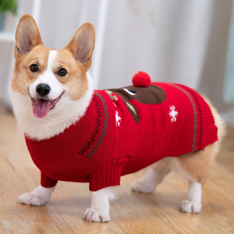Padded Coat Pet Padded Winter Clothing