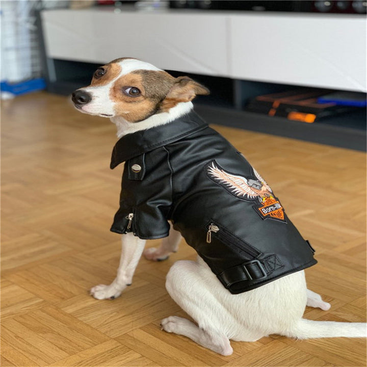 Pet Sticker Embroidered Eagle Leather Jacket