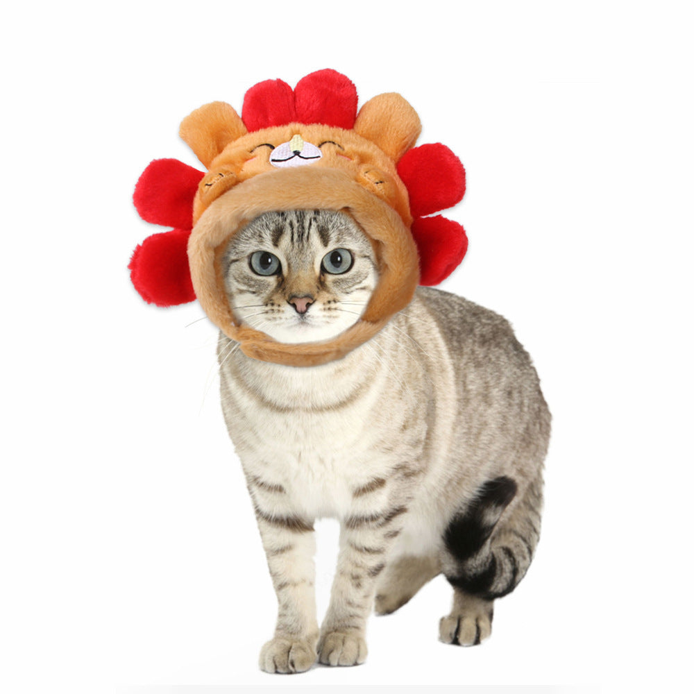 Curly Hair Pet Hat Cat Funny Dress Up