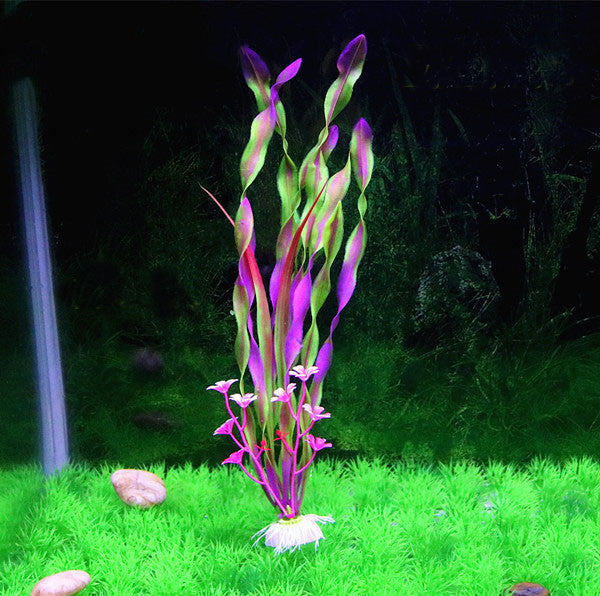 Aquarium Simulation Water Plants North American
