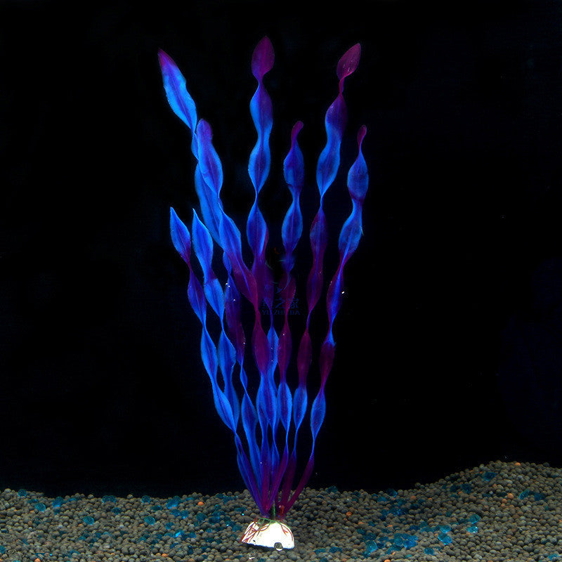 Aquarium Simulation Water Plants North American