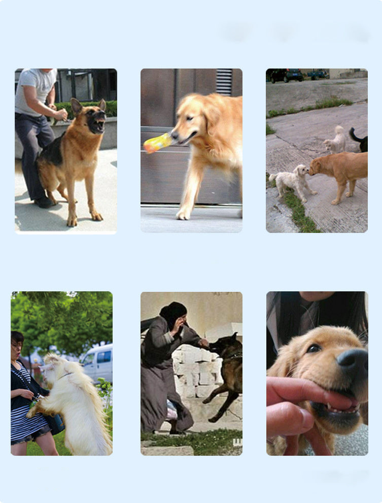 Rechargeable Remote Control Dog Training Device