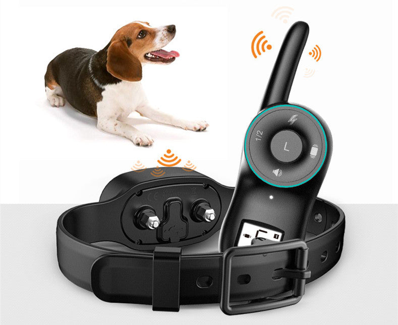 Dog Electric Collar Waterproof Dog