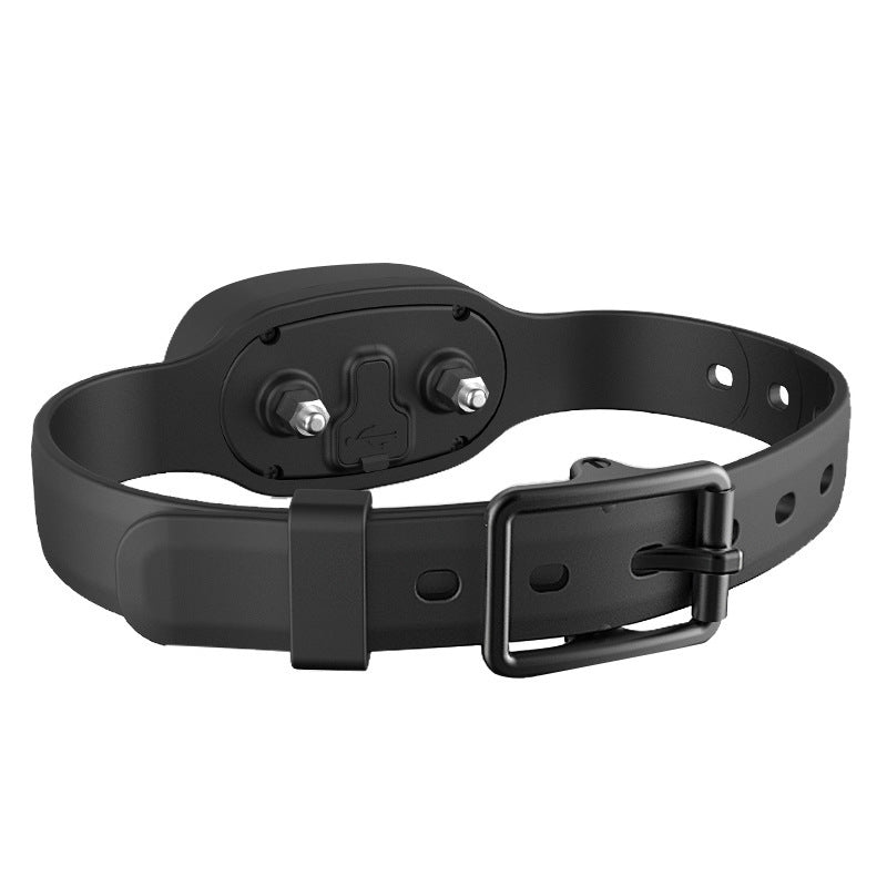 Dog Electric Collar Waterproof Dog