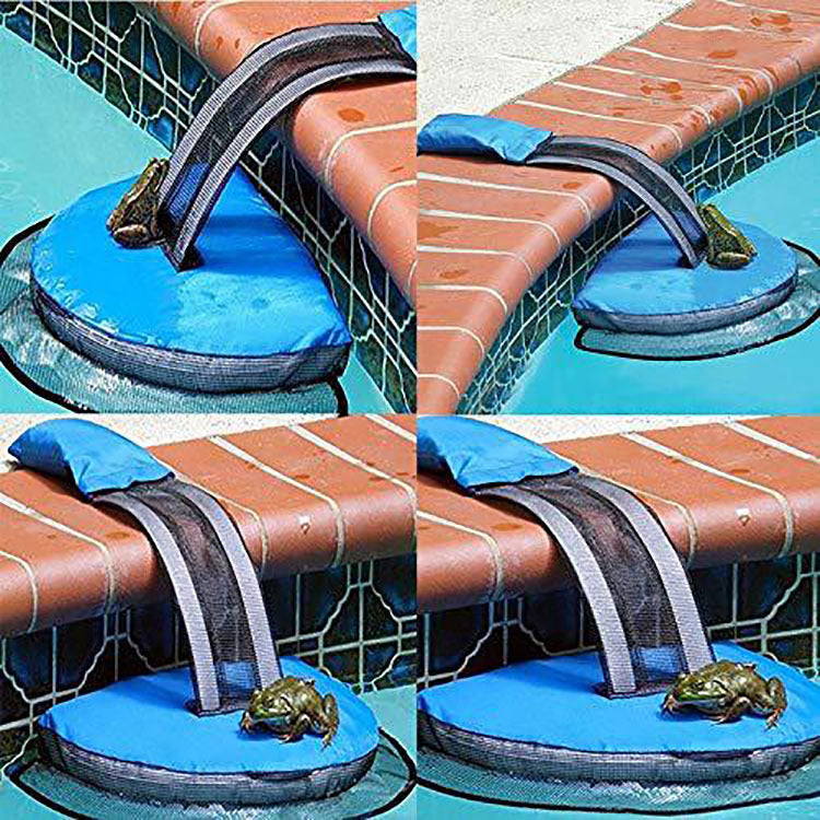 Small Animal Rescue Swimming Pool Frog Net
