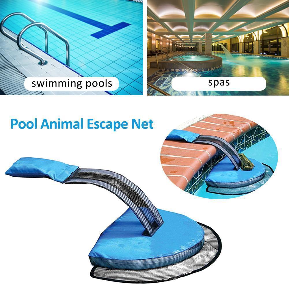 Small Animal Rescue Swimming Pool Frog Net