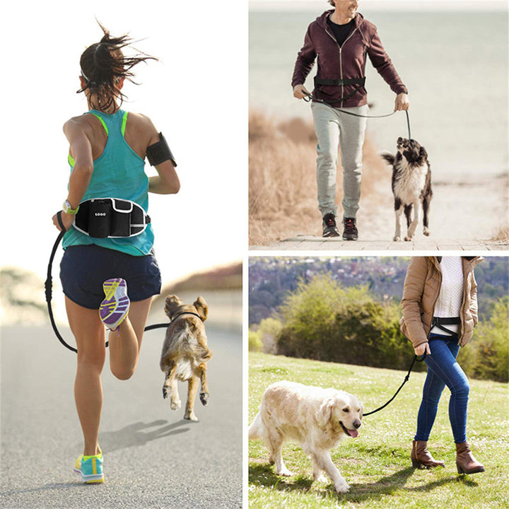 Dog Training Leash Waist Bag Hands-Free