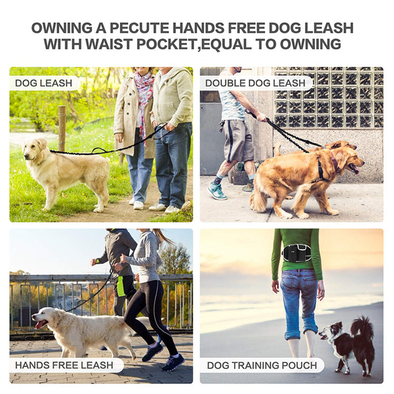 Dog Training Leash Waist Bag Hands-Free