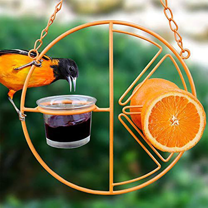 Bird Feeder Orange Fruit Outdoor Hanging