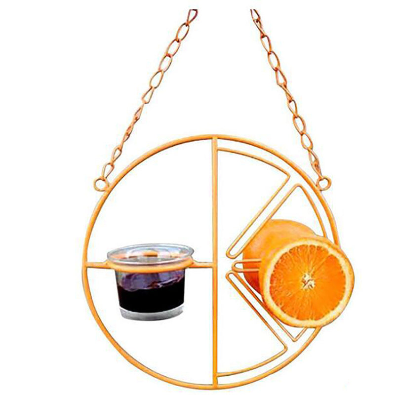 Bird Feeder Orange Fruit Outdoor Hanging