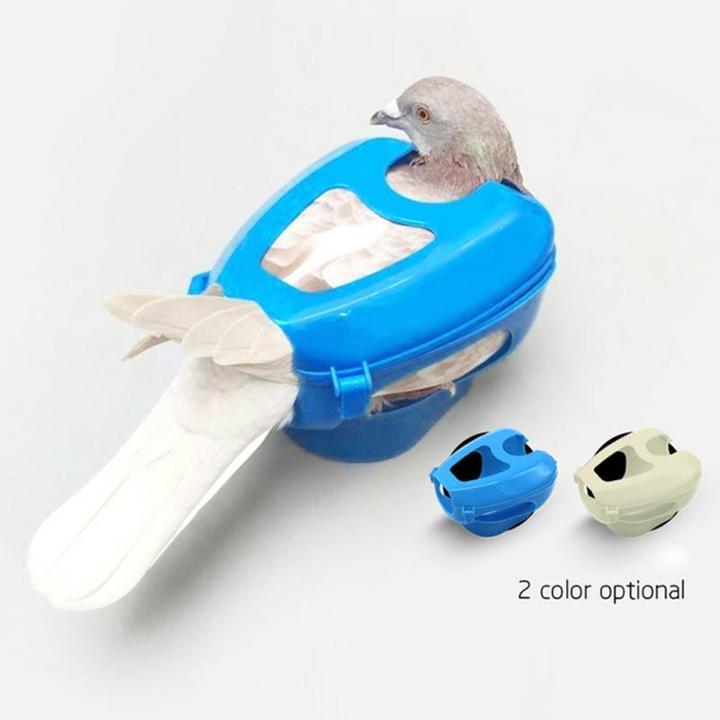 Pigeon Holder Easy Bird Fixed  Medicine Feeder Light Blue