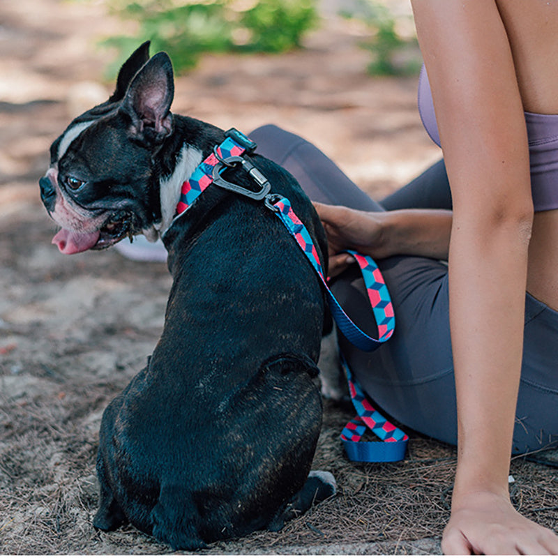 Ribbon Printing Traction Rope Leash