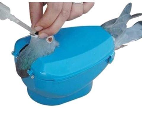 Pigeon Holder Easy Bird Fixed  Medicine Feeder Light Blue