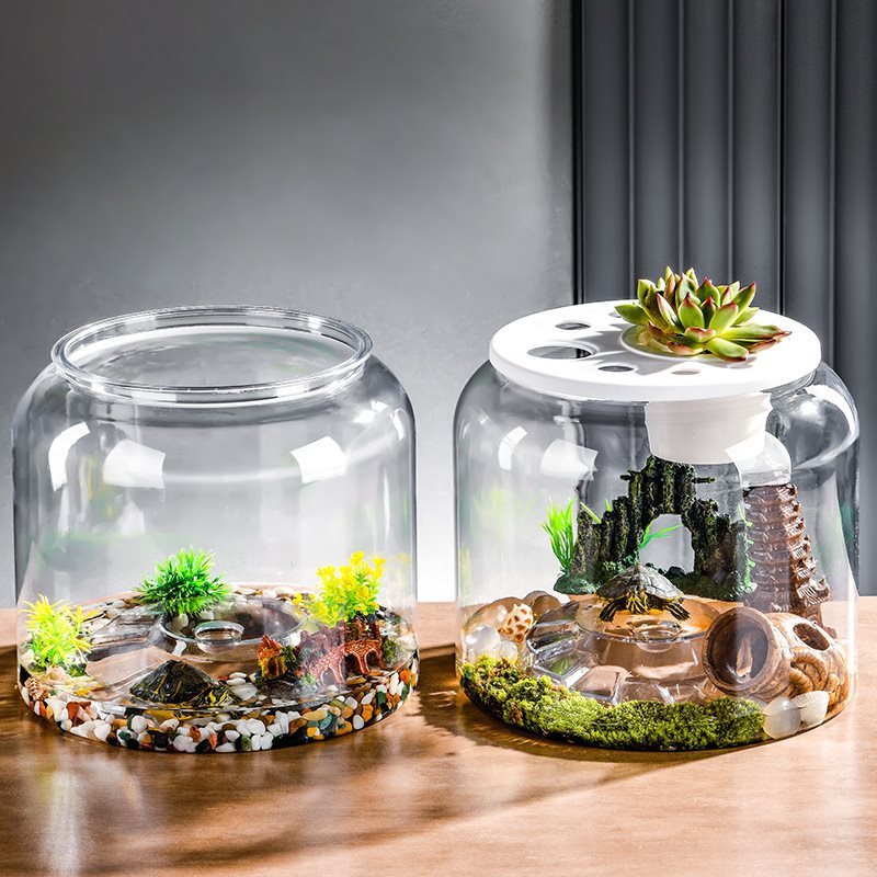 Transparent Plastic Ecological Desktop Feeding Fish Tank