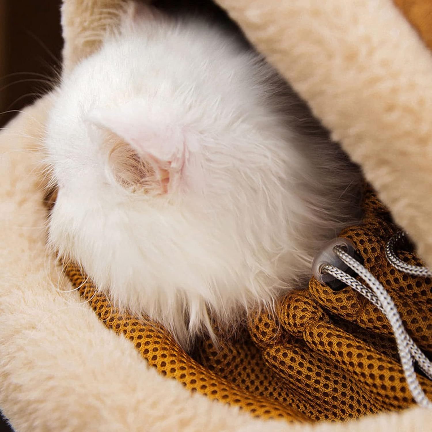 Carrier Bag Backpack Carrier Dog Travel