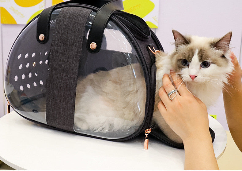 Double Fish Transparent Dog Bag Puppy Cat