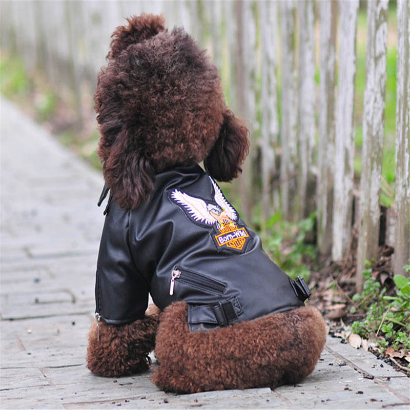 Pet Sticker Embroidered Eagle Leather Jacket