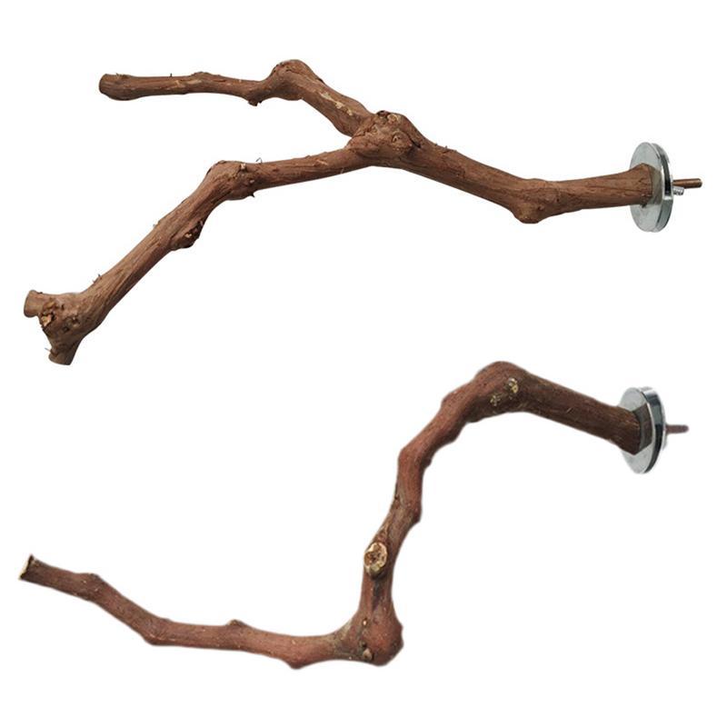 Bird Standing Stick Wild Grape Wood