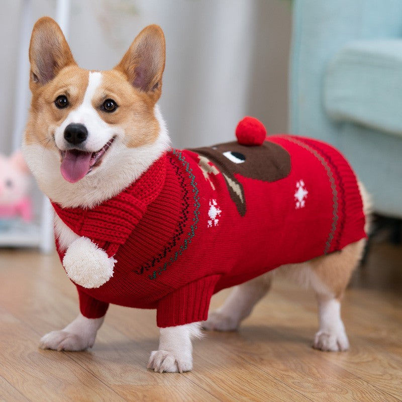 Padded Coat Pet Padded Winter Clothing