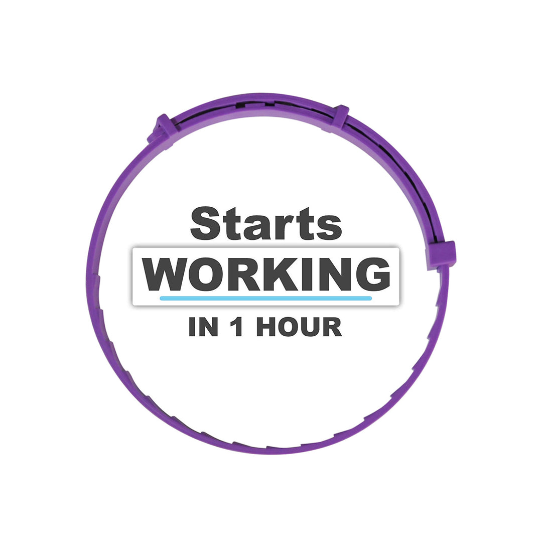 Pet Calm Collar Cat Comfort Collar Relieve Anxiety