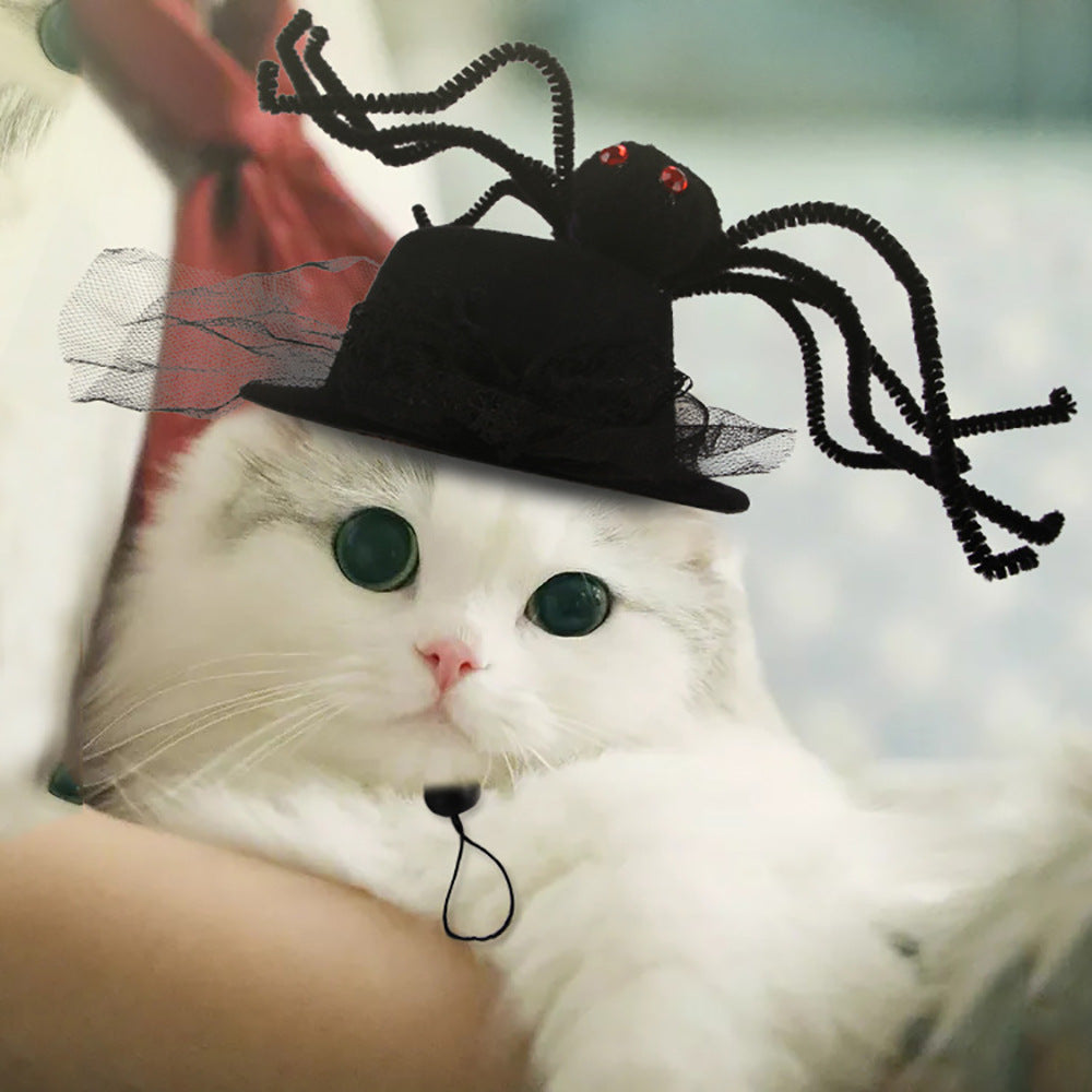 Curly Hair Pet Hat Cat Funny Dress Up