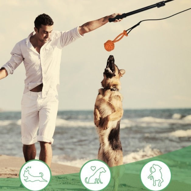 Retractable Funny Dog Stick Pet Training Rod