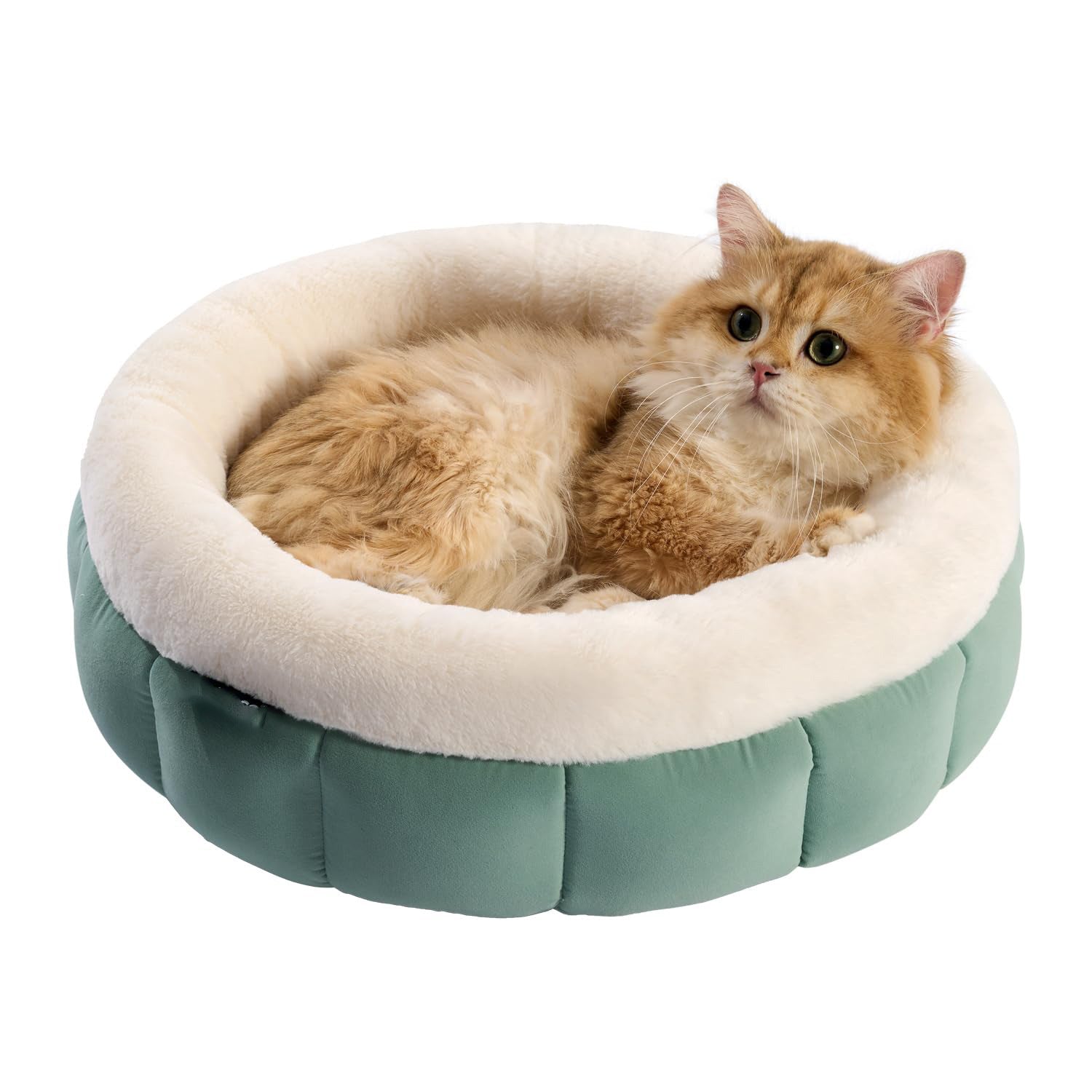 Washable Pet Bed For Puppy And Kittens