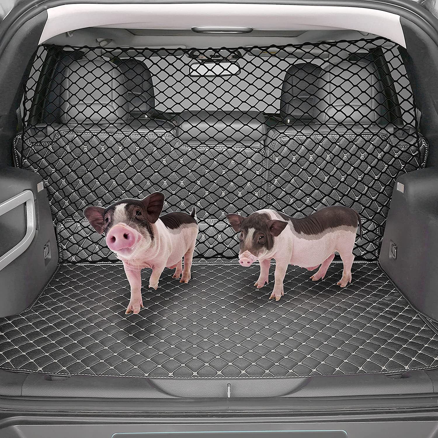 Dog Protective Net Car Isolation Fence