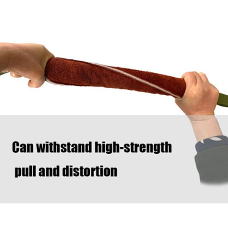 Dog Biting Stick Training