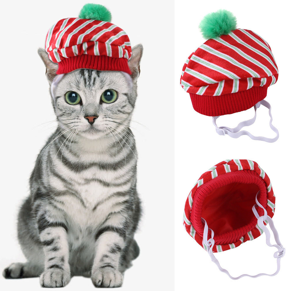 Curly Hair Pet Hat Cat Funny Dress Up