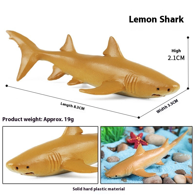Simulation Marine Animal Model Children's Cognitive Toy