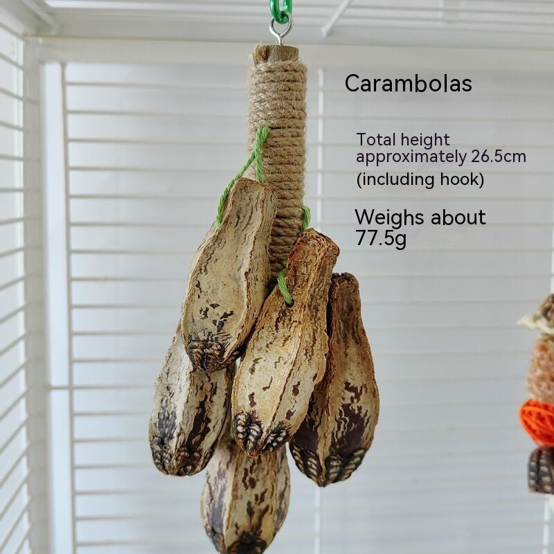 Parrot Bite Supplies Bird Stand Rod Bird Cage