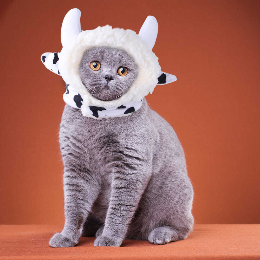 Curly Hair Pet Hat Cat Funny Dress Up