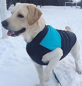 Winter Pet Ski Wear Coat