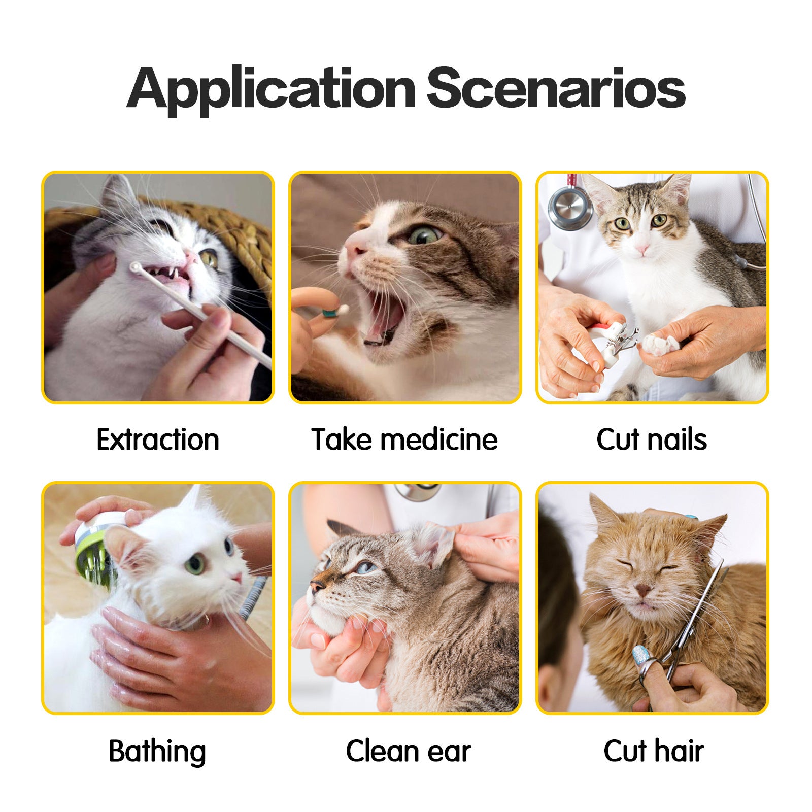 Cat Travel Bag Double Lined Anti Scratch And Bite