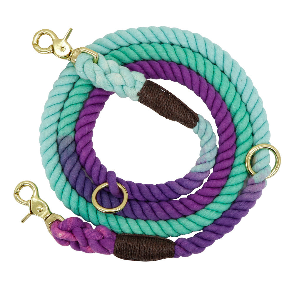 Gradient Color Accessories Pet Leashes