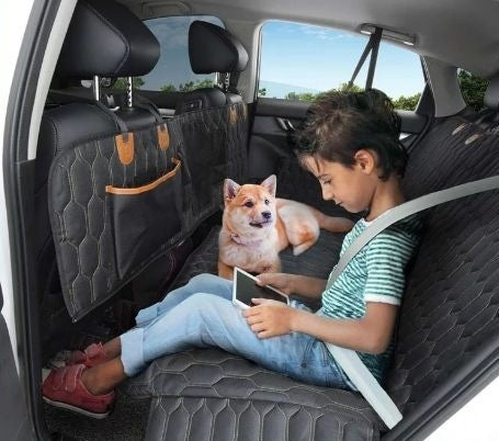 Three-in-one Multifunctional Cat And Dog Travel Car Mat