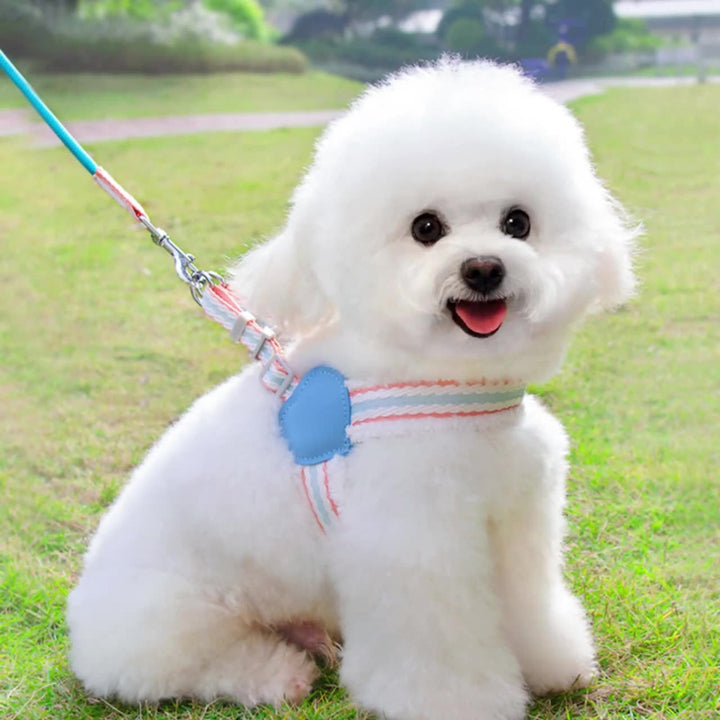Dog Summer Breathable Leash