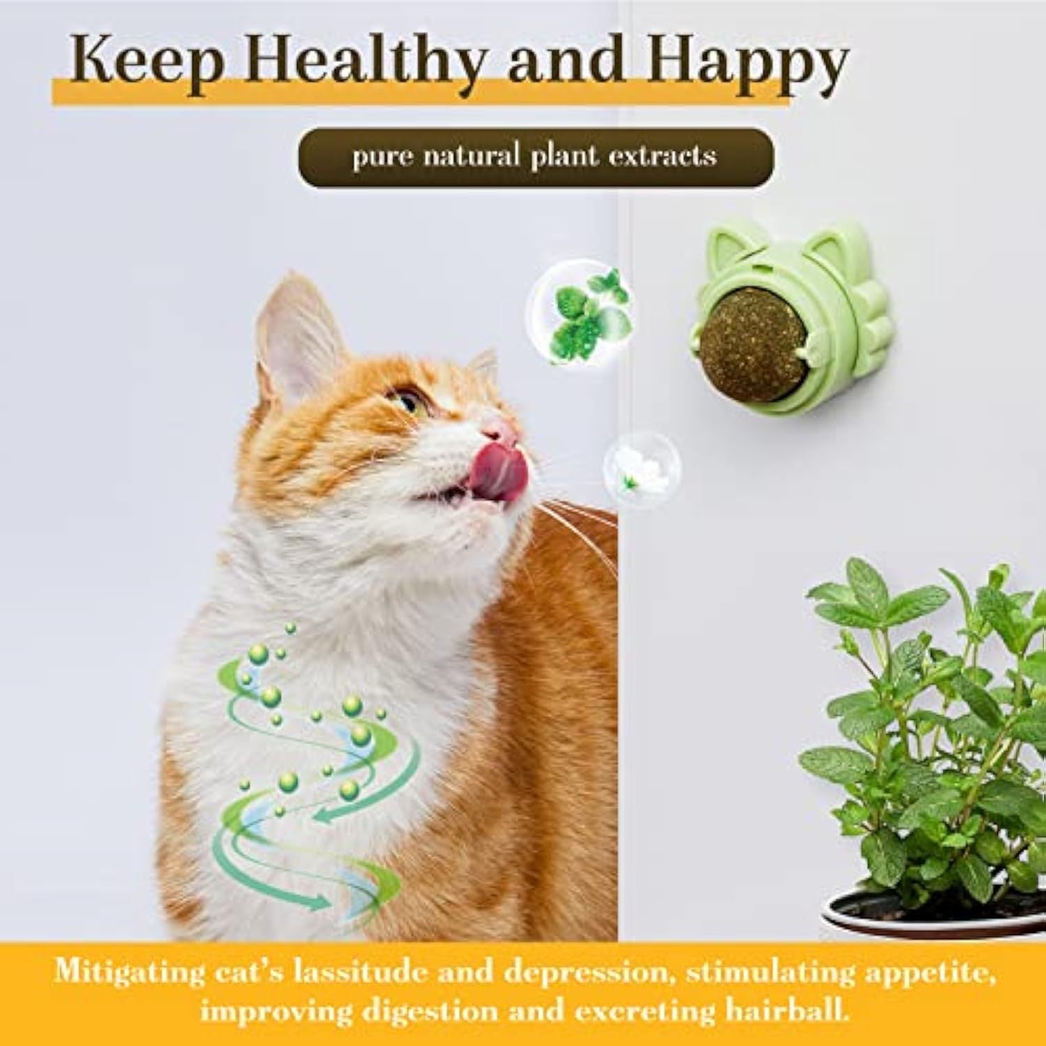 Cleaning Dental Chew Toys Cat Wall Treats