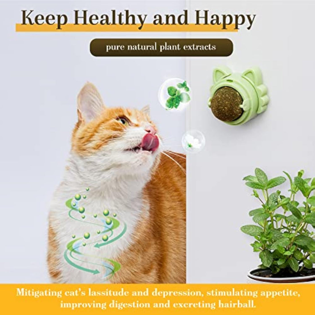 Cleaning Dental Chew Toys Cat Wall Treats