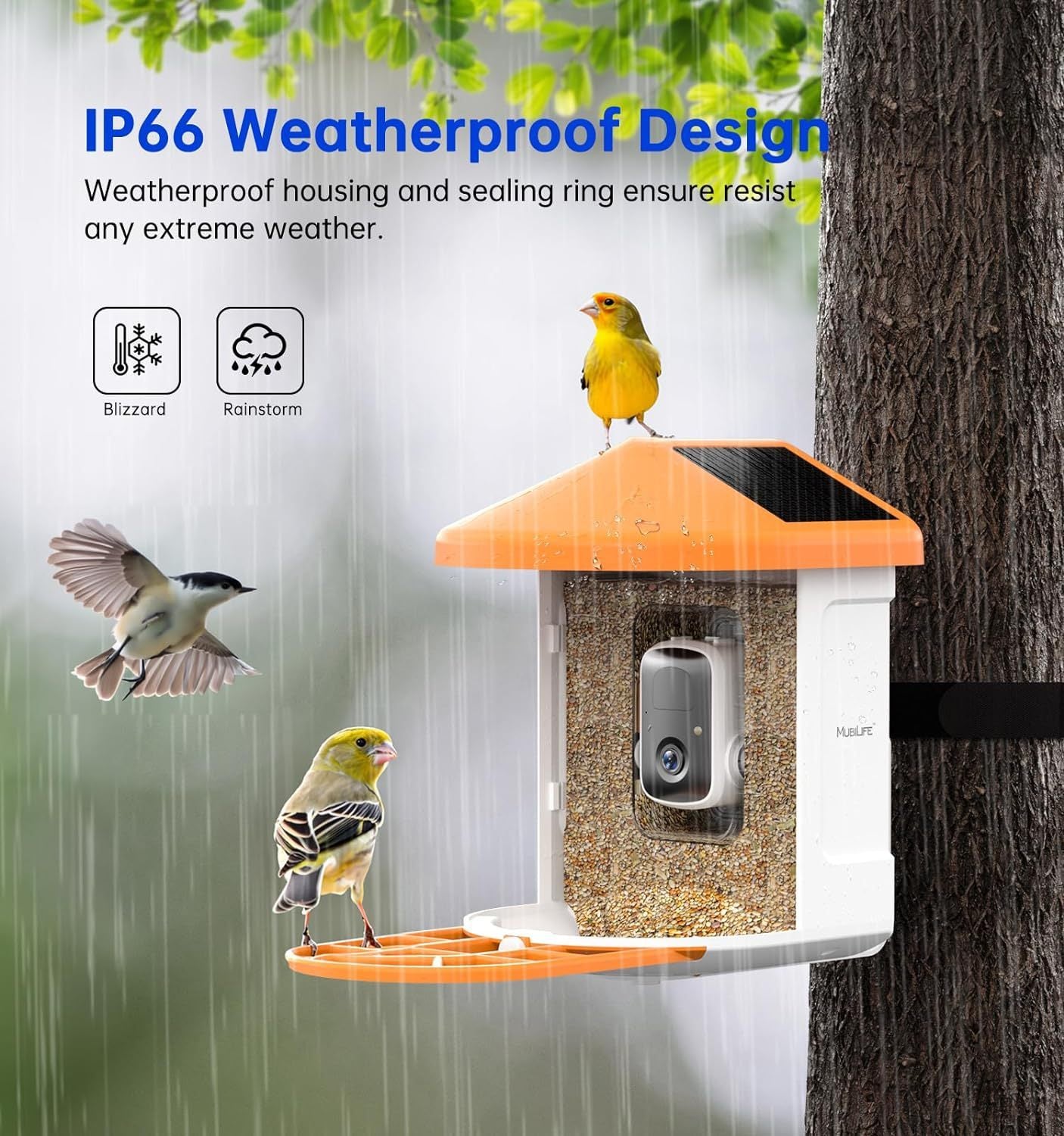Smart Feeder Surveillance Wireless Camera