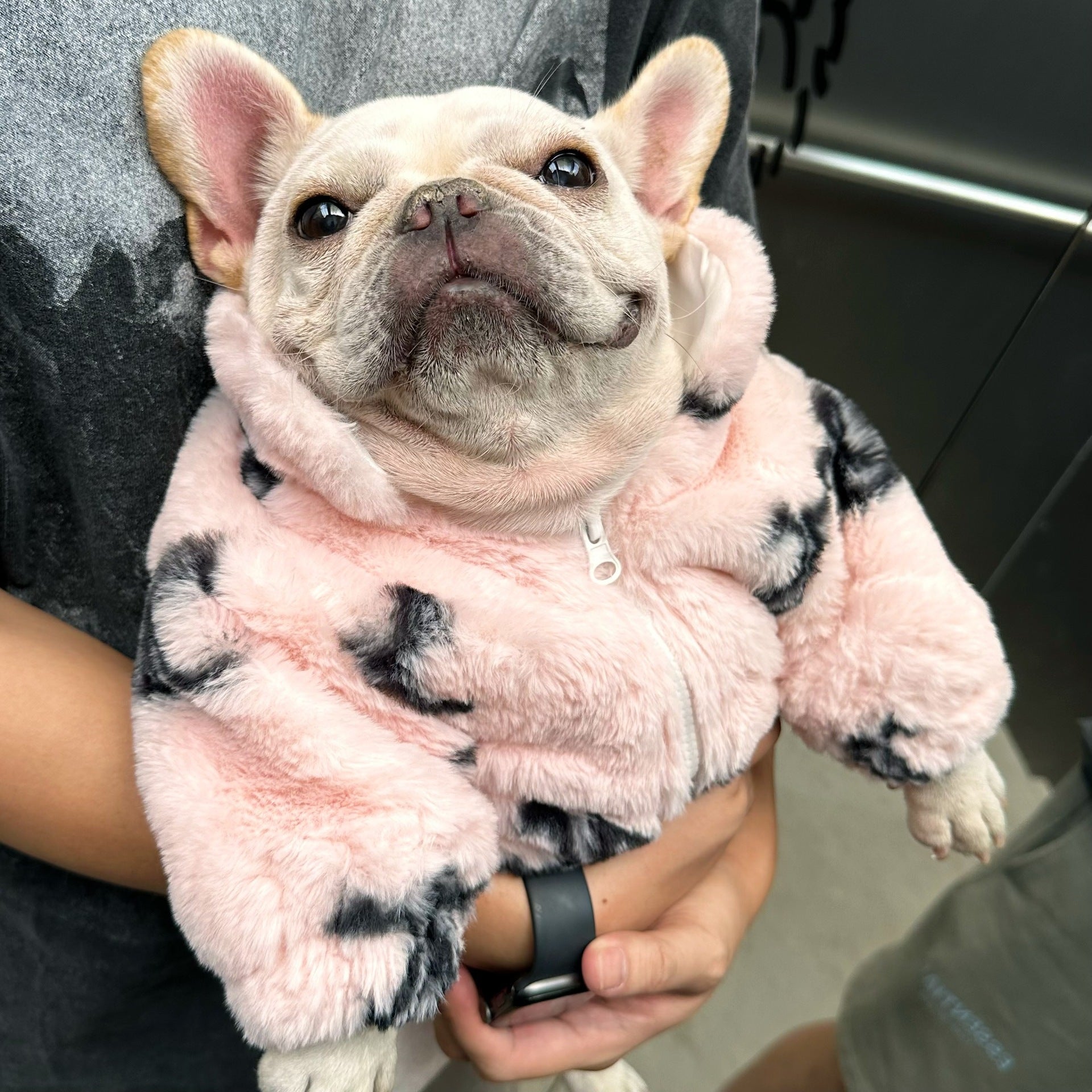 Kitty Pet Clothing Fluffy Warm Coat