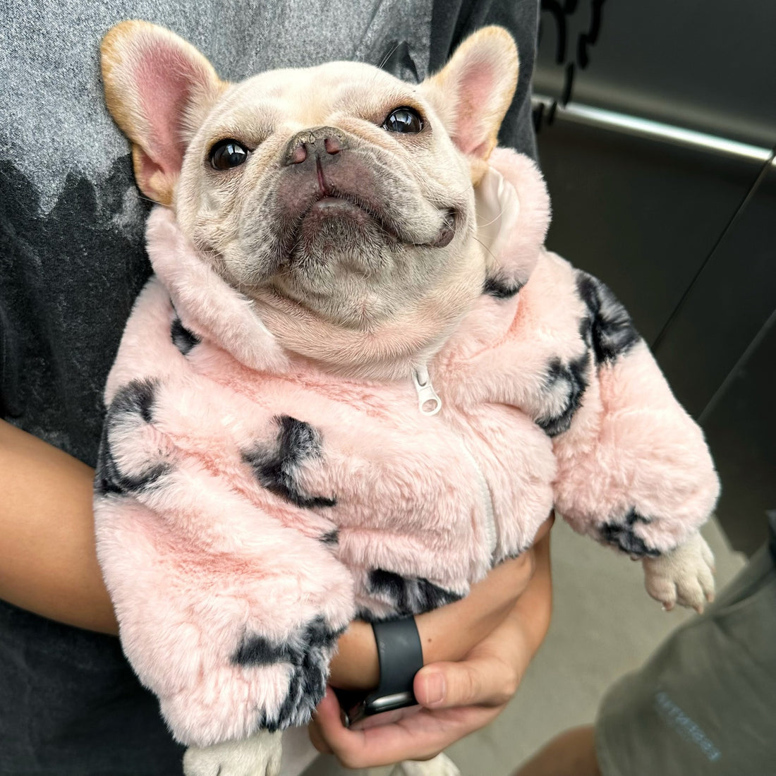 Kitty Pet Clothing Fluffy Warm Coat