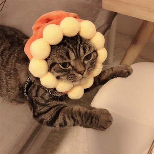 Curly Hair Pet Hat Cat Funny Dress Up